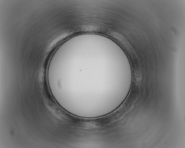 X0000114000583200910161711
