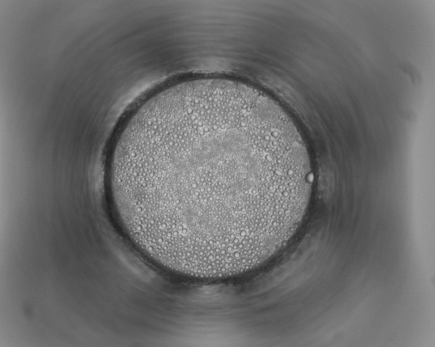 X0000114000584200910161711