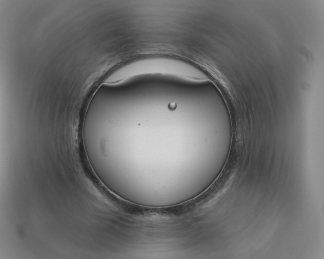 X0000114000585200910161711