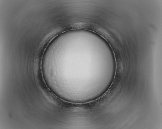 X0000114000586200910161711