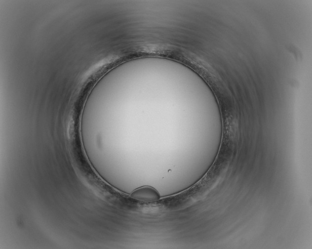 X0000114000587200910161711