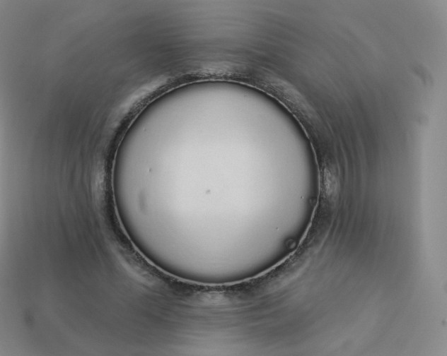 X0000114000588200910161711