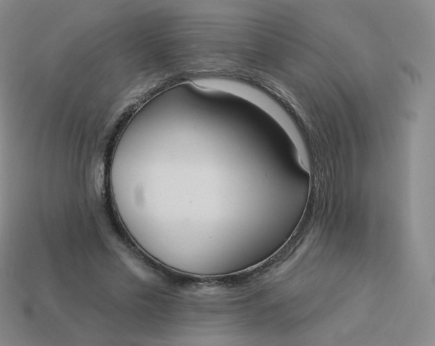 X0000114000589200910161711