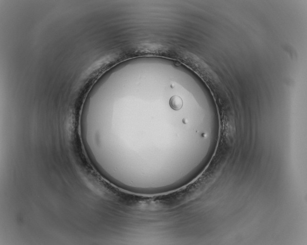 X0000114000591200910161711