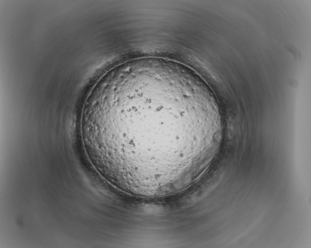 X0000114000592200910161711