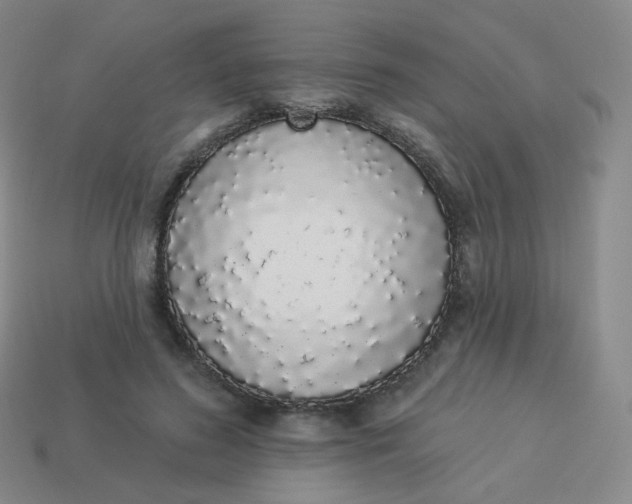 X0000114000596200910161711