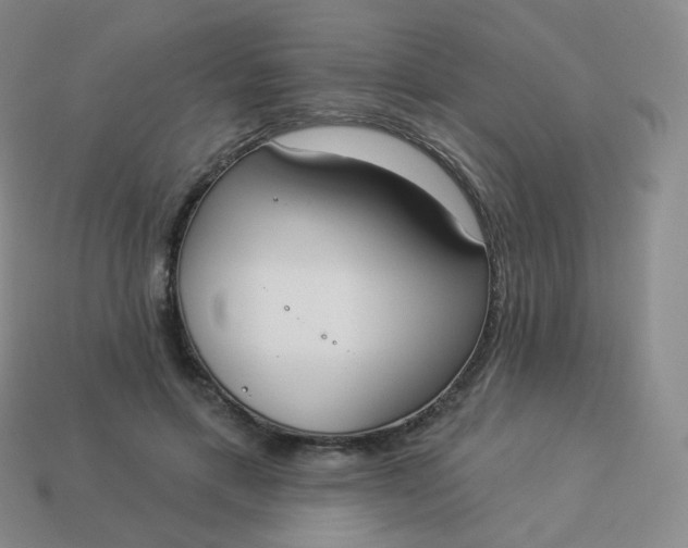 X0000114000597200910161711