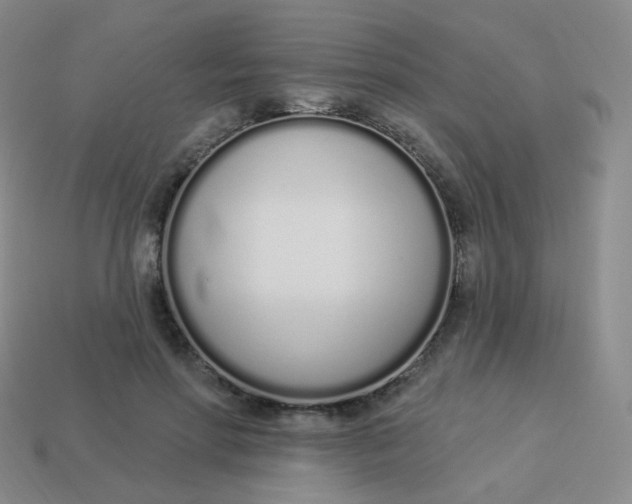 X0000114000598200910161711