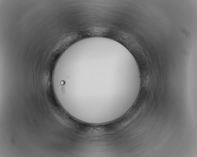 X0000114000599200910161711