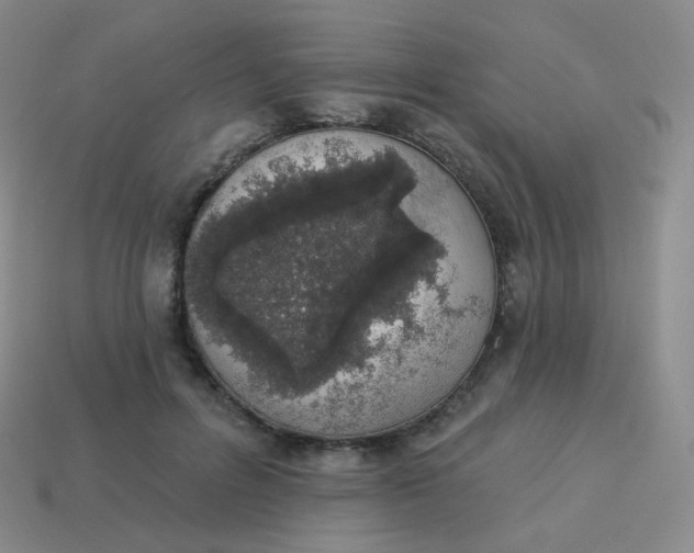 X0000114000600200910161711