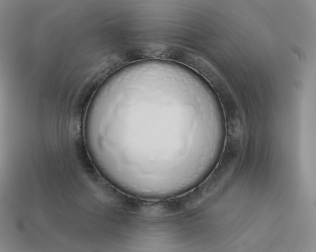 X0000114000602200910161711