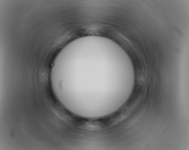 X0000114000603200910161711