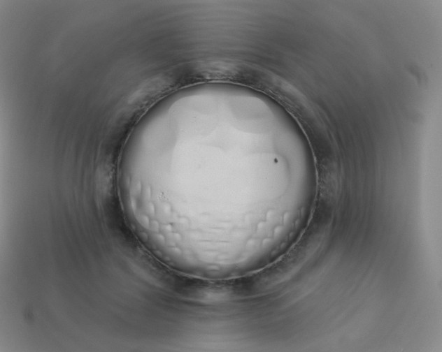 X0000114000604200910161711