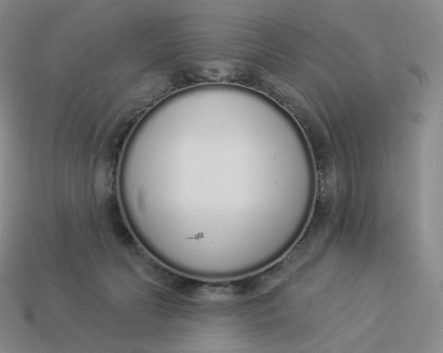 X0000114000606200910161711