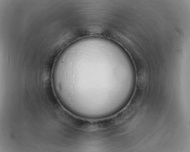 X0000114000608200910161711