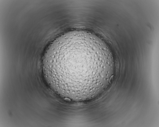 X0000114000609200910161711
