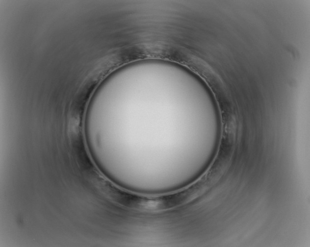 X0000114000610200910161711