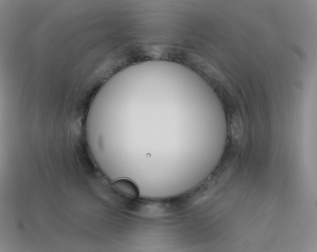 X0000114000611200910161711