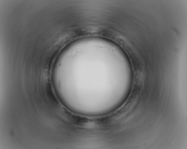 X0000114000612200910161710