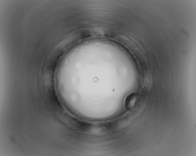 X0000114000616200910161710