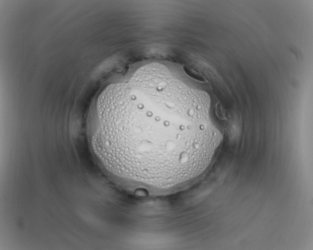 X0000114000619200910161710