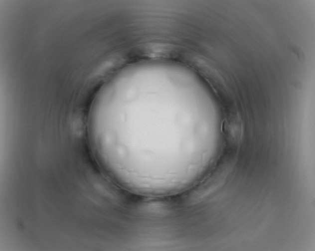 X0000114000620200910161710
