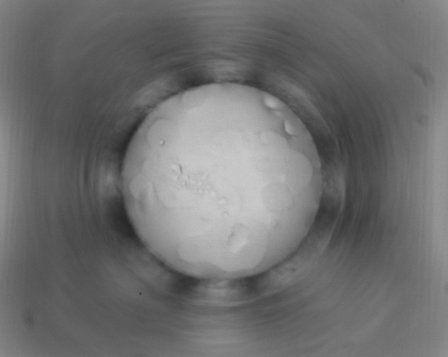 X0000114000622200910161710