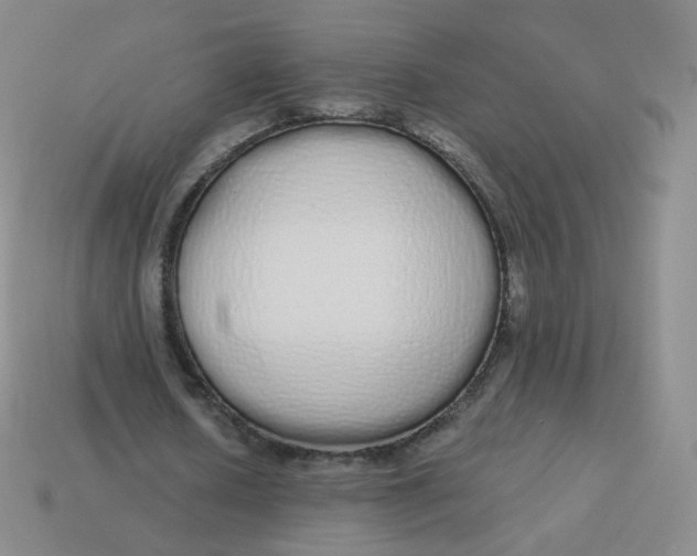 X0000114000626200910161710