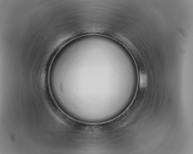 X0000114000627200910161710