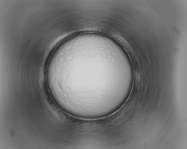 X0000114000628200910161710