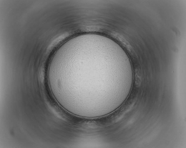X0000114000631200910161710