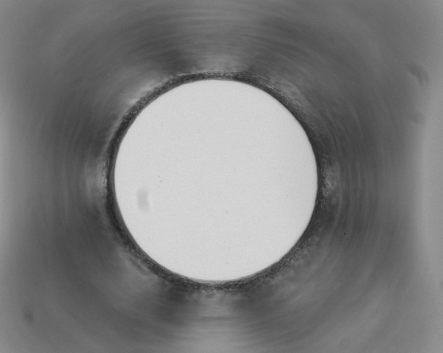 X0000114000632200910161710