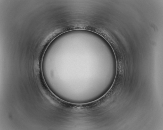 X0000114000634200910161710
