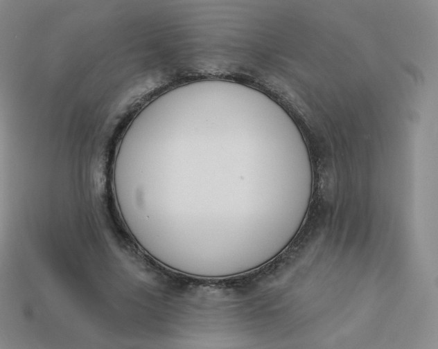 X0000114000635200910161710