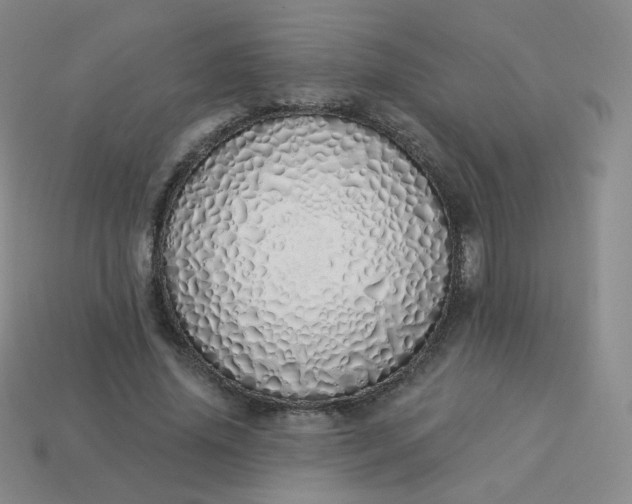 X0000114000636200910161710