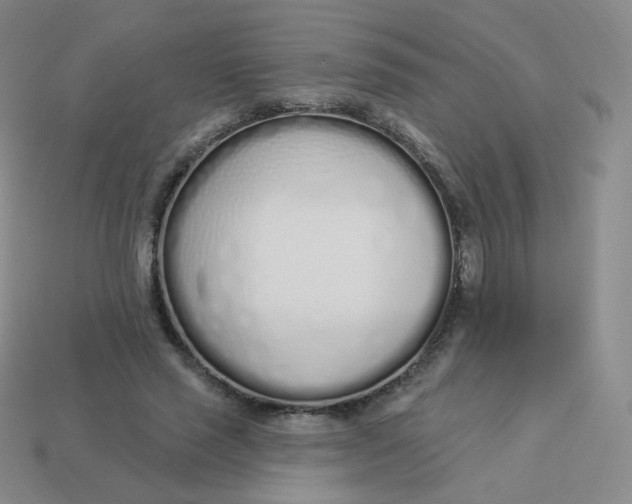 X0000114000637200910161710