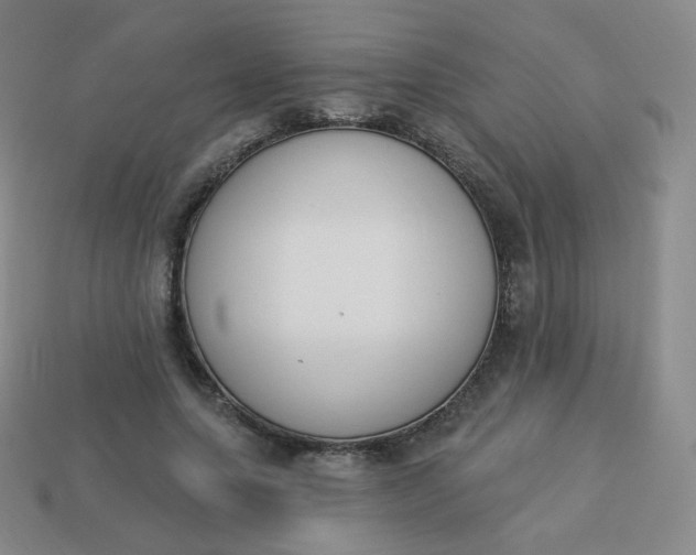 X0000114000639200910161710