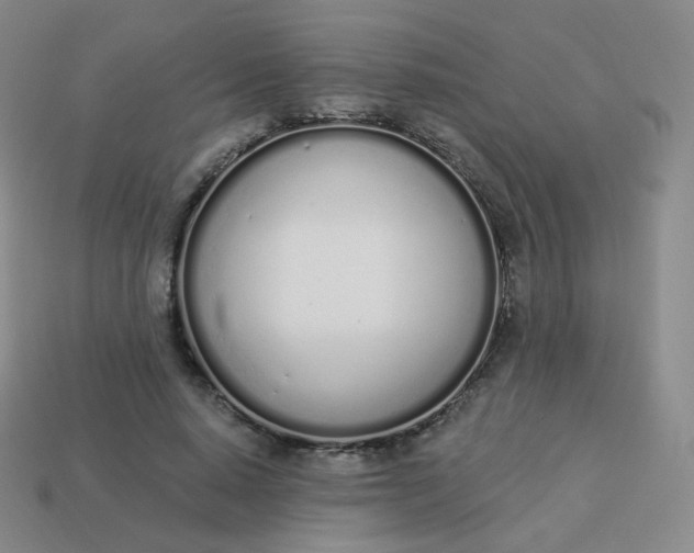 X0000114000640200910161710