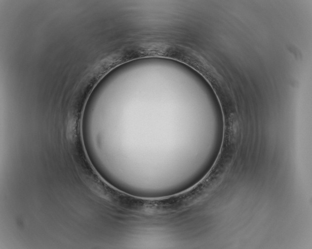 X0000114000641200910161710