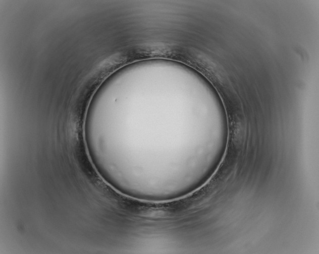 X0000114000643200910161710