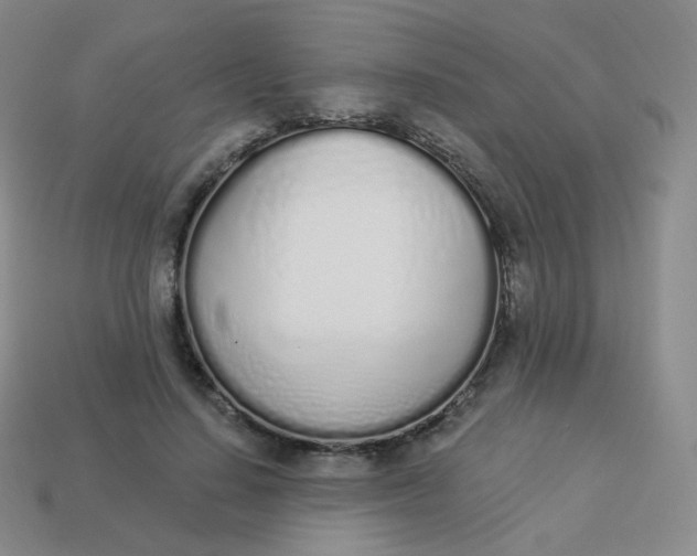 X0000114000644200910161710