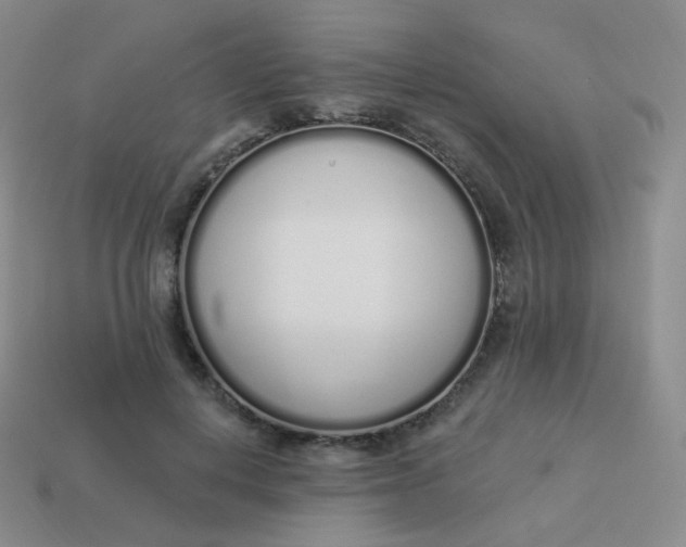 X0000114000648200910161710