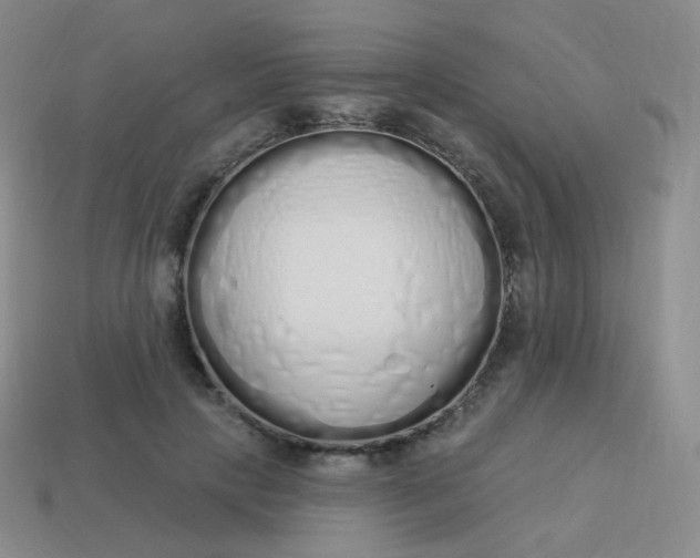 X0000114000649200910161710