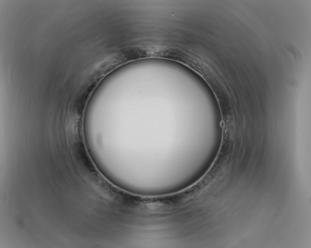 X0000114000650200910161710