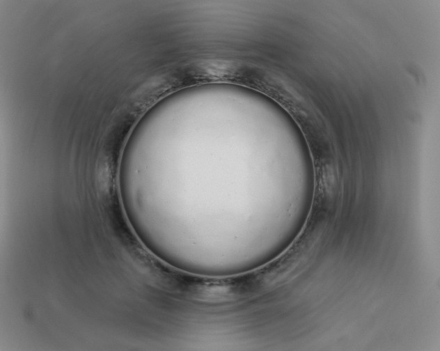 X0000114000651200910161710
