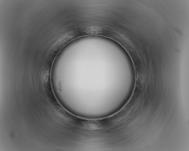 X0000114000652200910161710