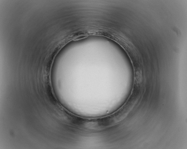 X0000114000653200910161710