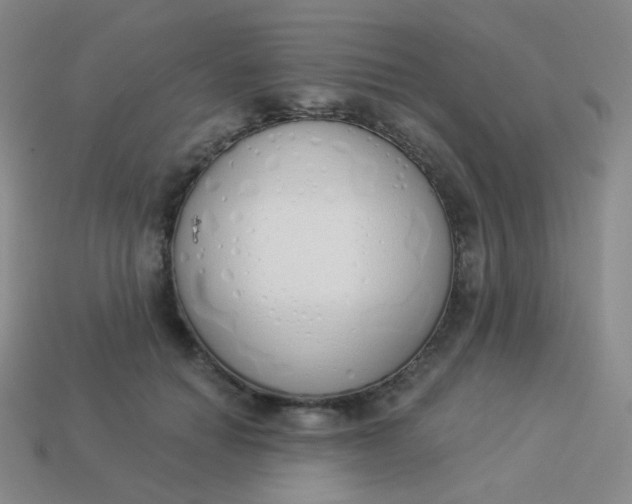 X0000114000654200910161710