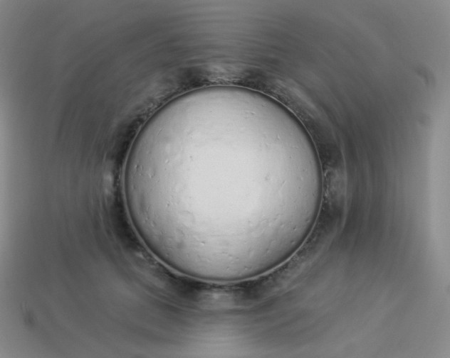 X0000114000655200910161710
