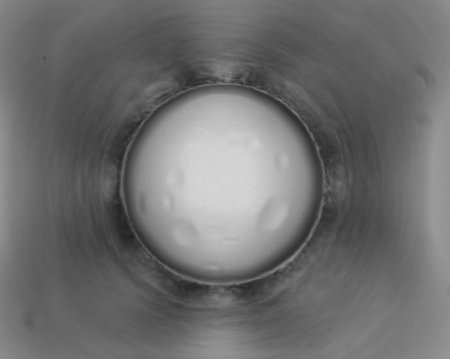 X0000114000656200910161710